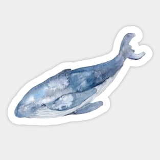 Watercolor Humpback Whale Sticker